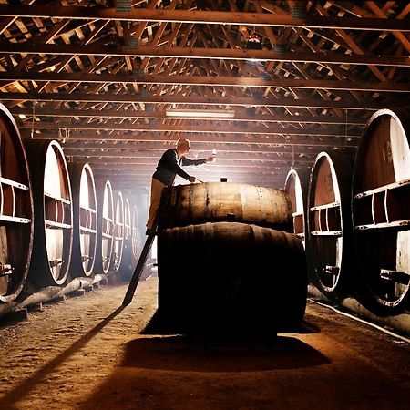 Pieter Van Gent Winery & Vineyard Budgee Budgee Ngoại thất bức ảnh