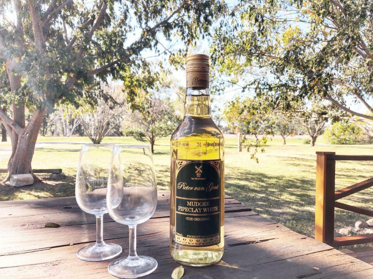Pieter Van Gent Winery & Vineyard Budgee Budgee Ngoại thất bức ảnh
